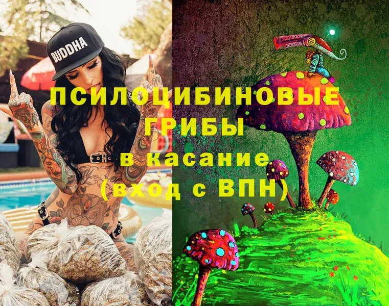 ОМГ ОМГ ССЫЛКА  Ковров  Псилоцибиновые грибы Magic Shrooms 